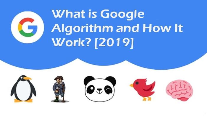 What is Google Algorithm and How It Work?